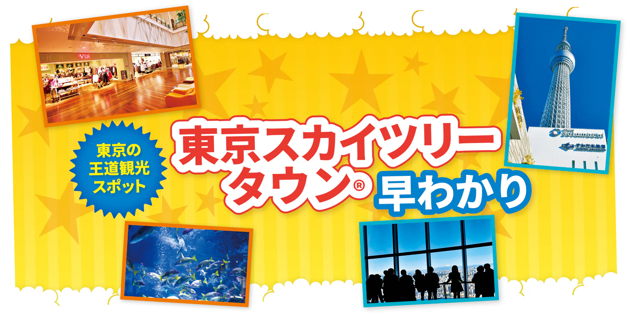 東京スカイツリータウン®️|ソラマチ、東京スカイツリー®️、すみだ水族館などをご紹介