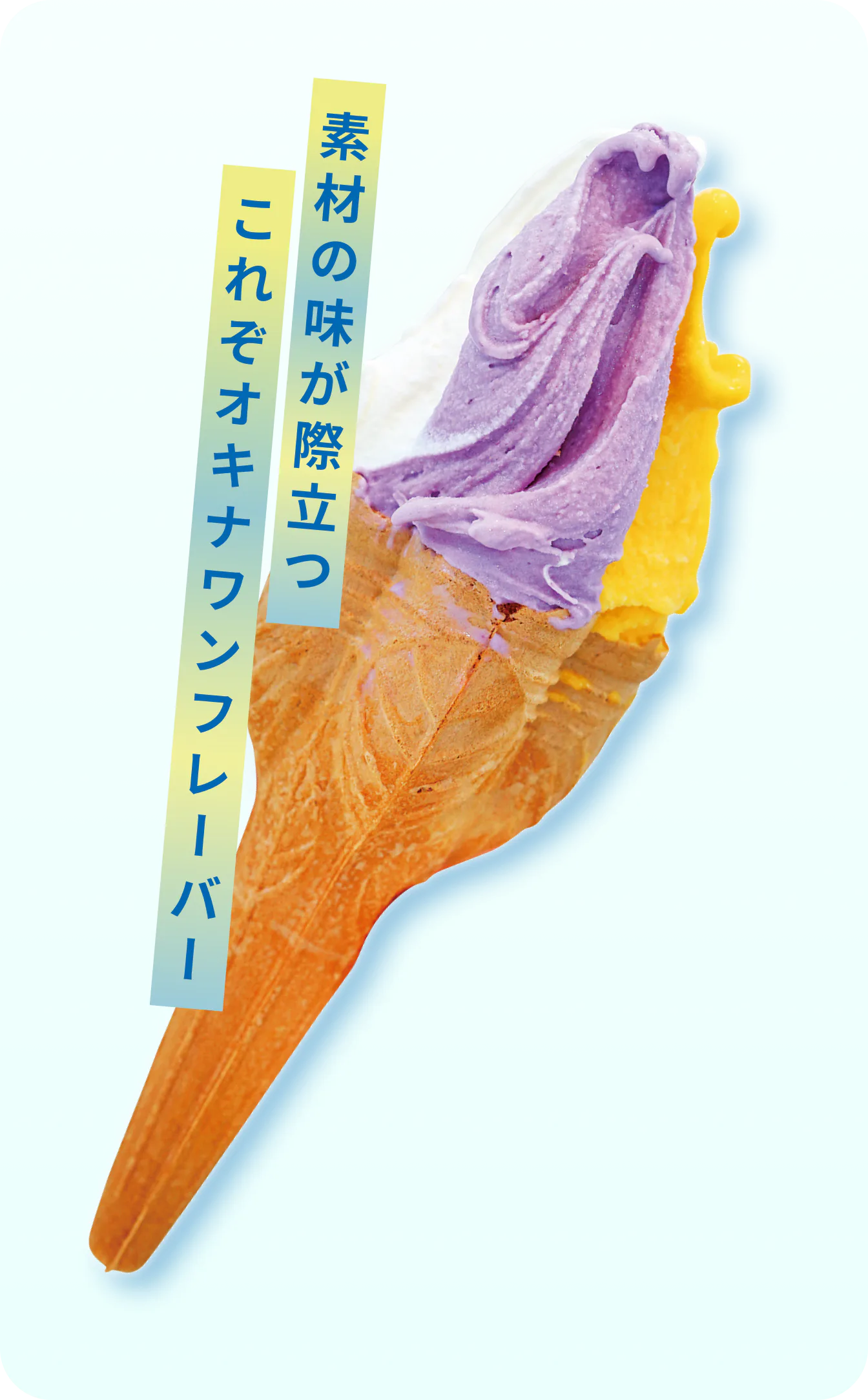 やんばるジェラート 本店の牧場ミルク、紅芋、マンゴー（トリプル） 700円（コーンは＋50円）画像