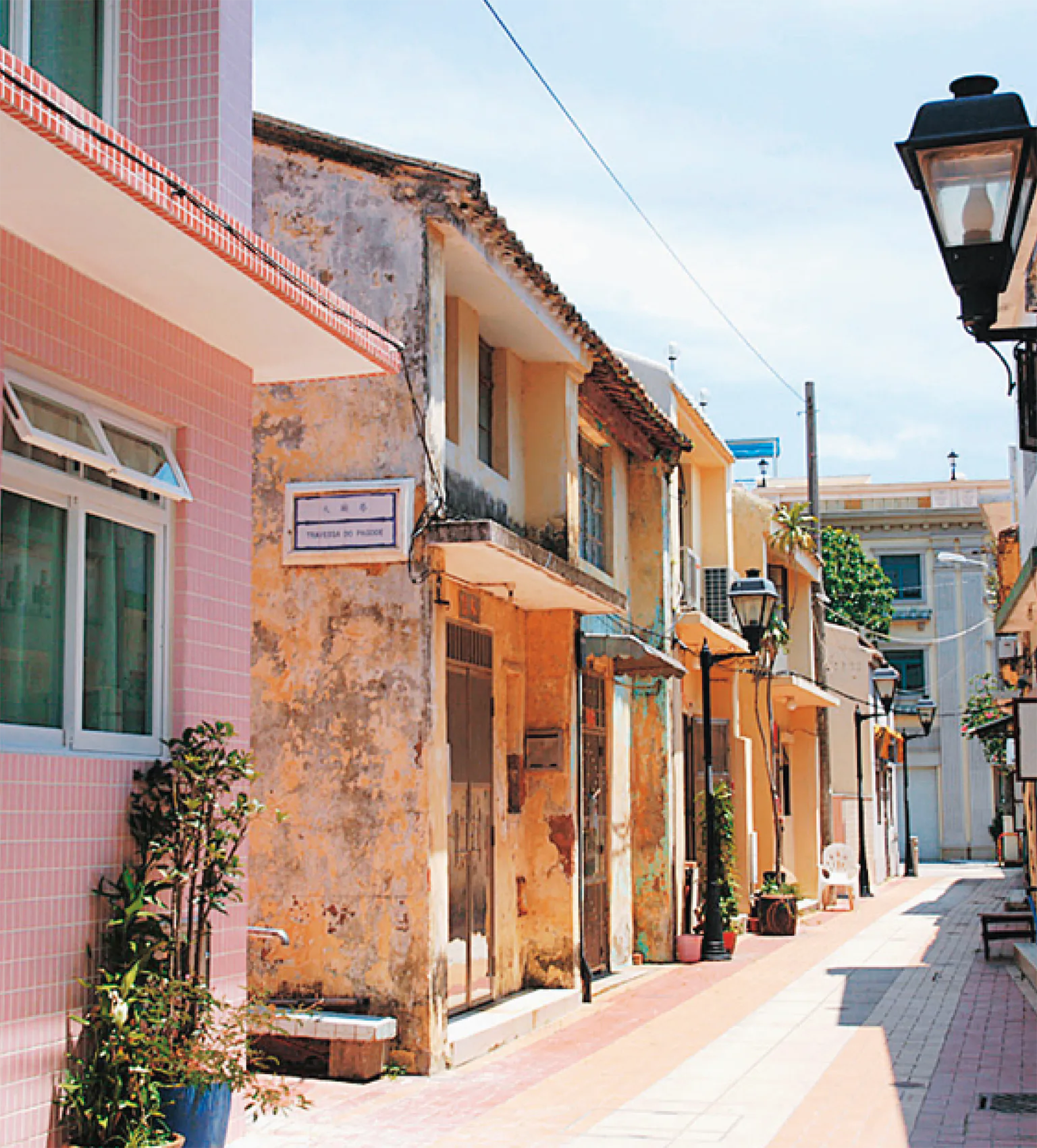 コロアンの画像