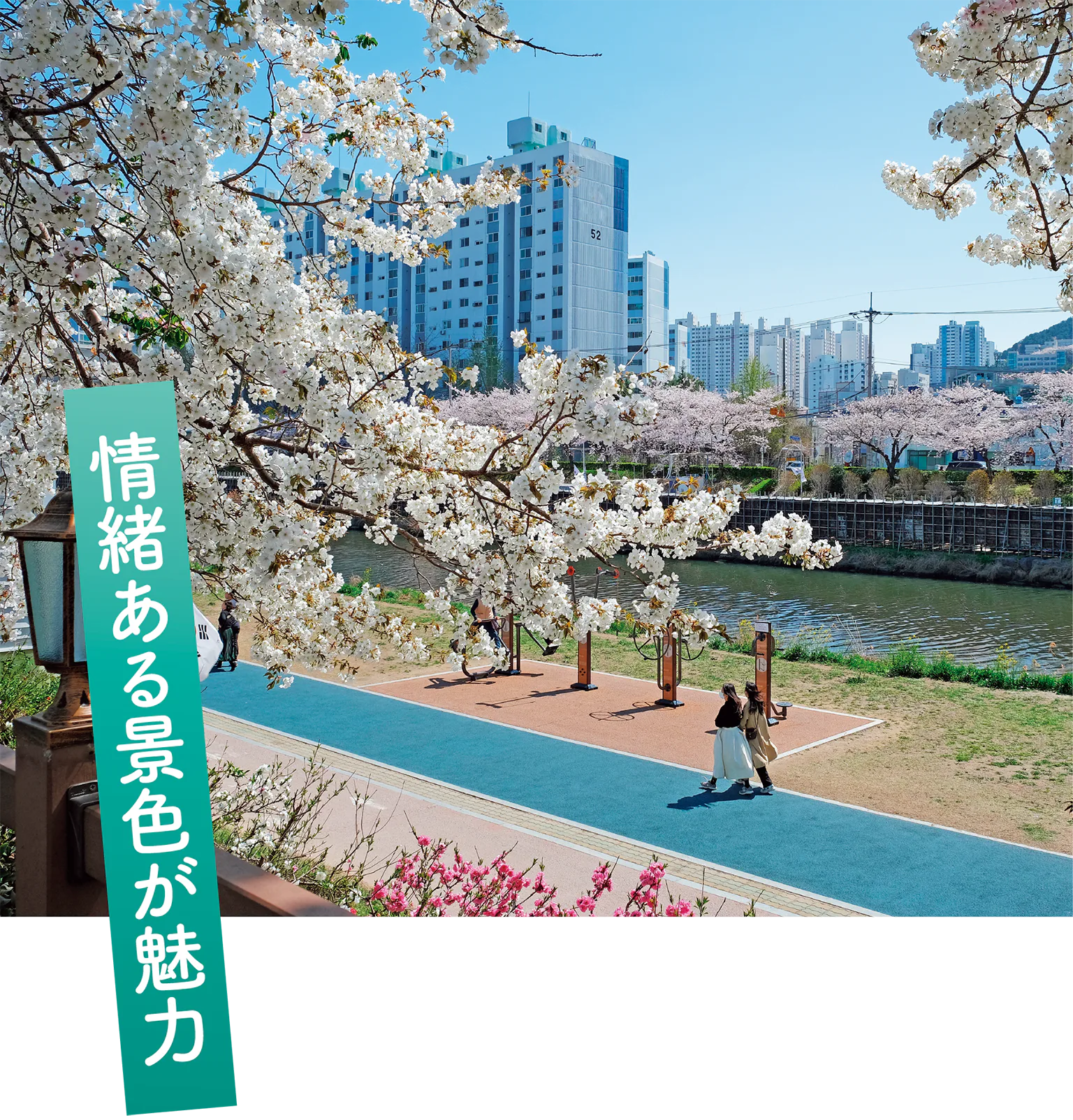 情緒ある景色が魅力