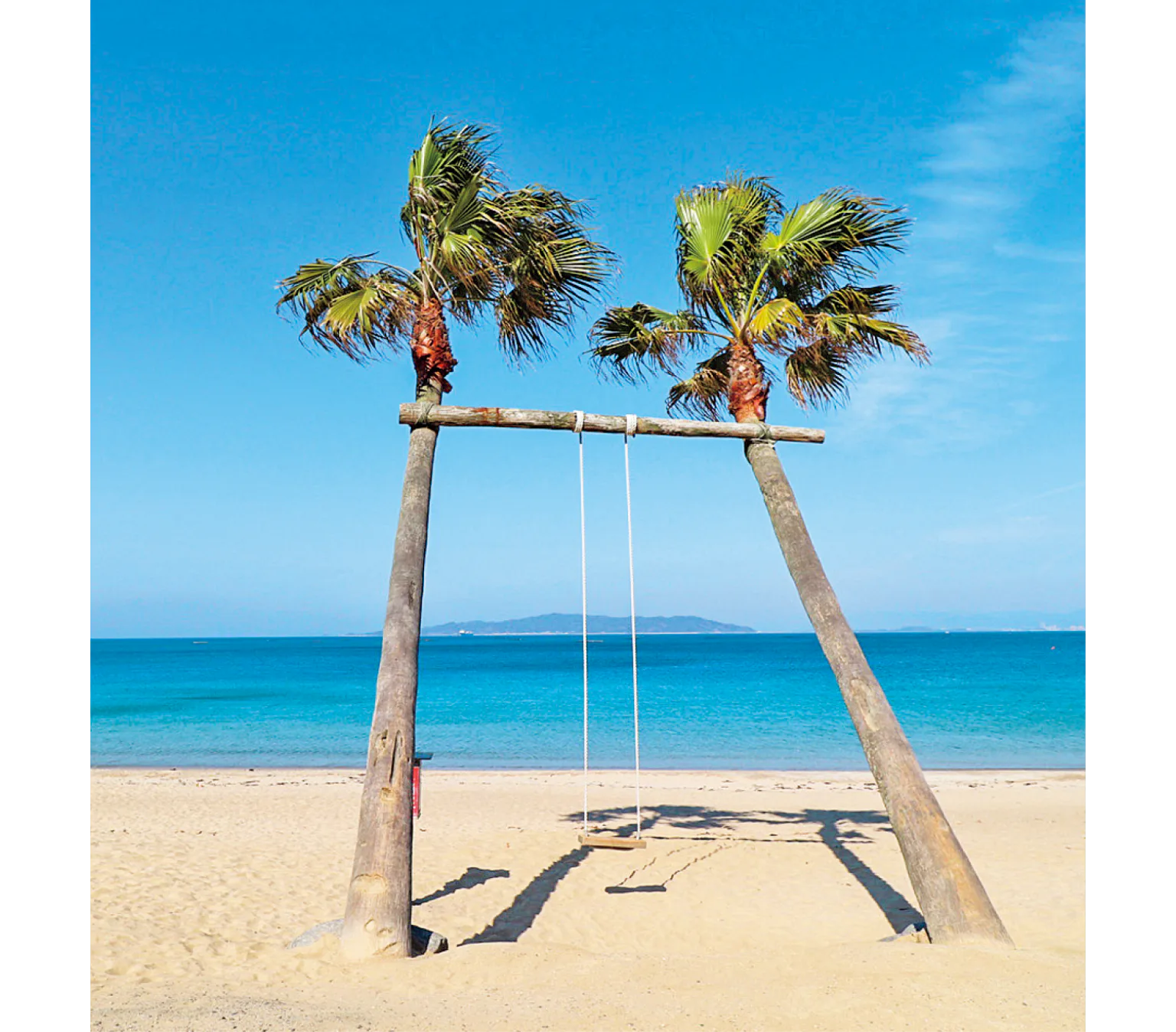 ヤシの木ブランコで記念撮影の画像