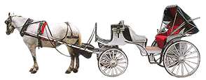 馬車の画像