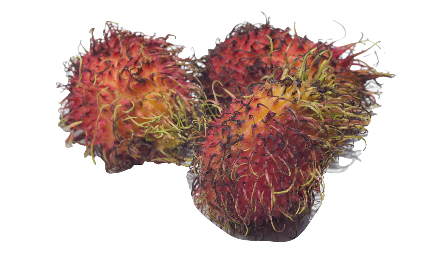 ランブータンの画像