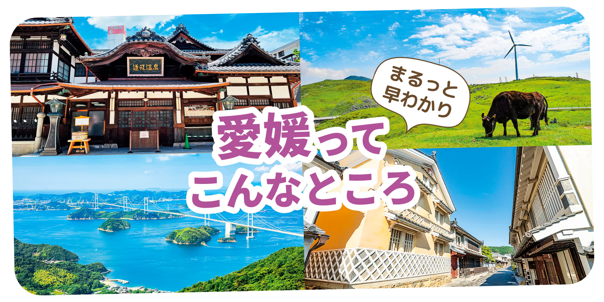 【愛媛観光早わかり】グルメ・見どころ・温泉|おみやげやおすすめ宿泊エリア情報も