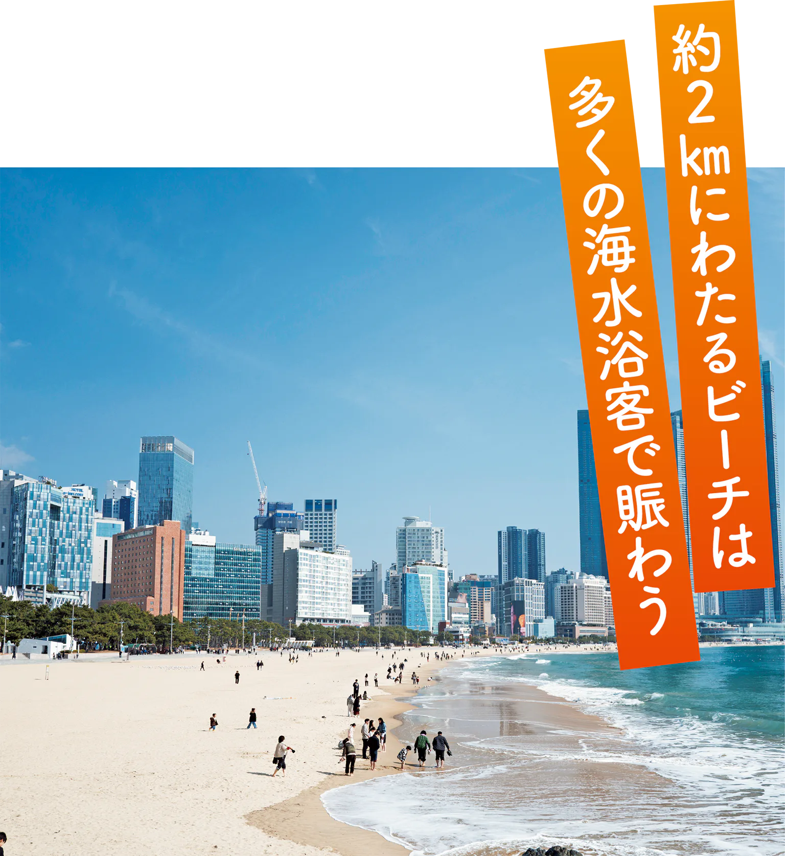約2㎞にわたるビーチは多くの海水浴客で賑わう