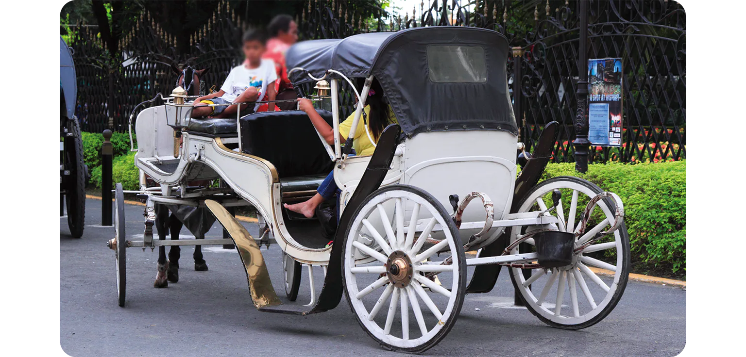 カレッサの画像