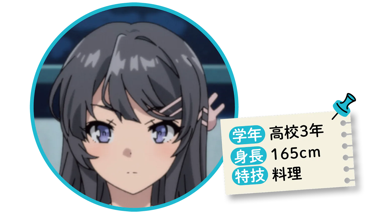 桜島麻衣の紹介画像