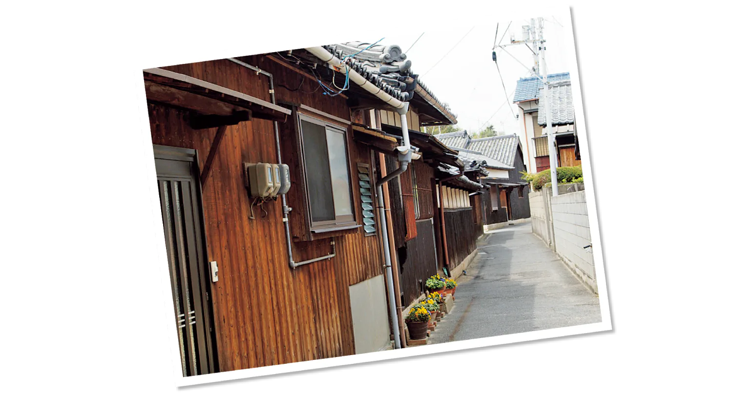 本村エリアの画像