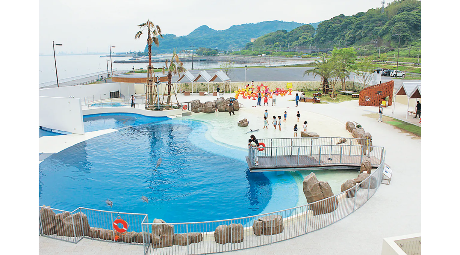 イルカプールの画像