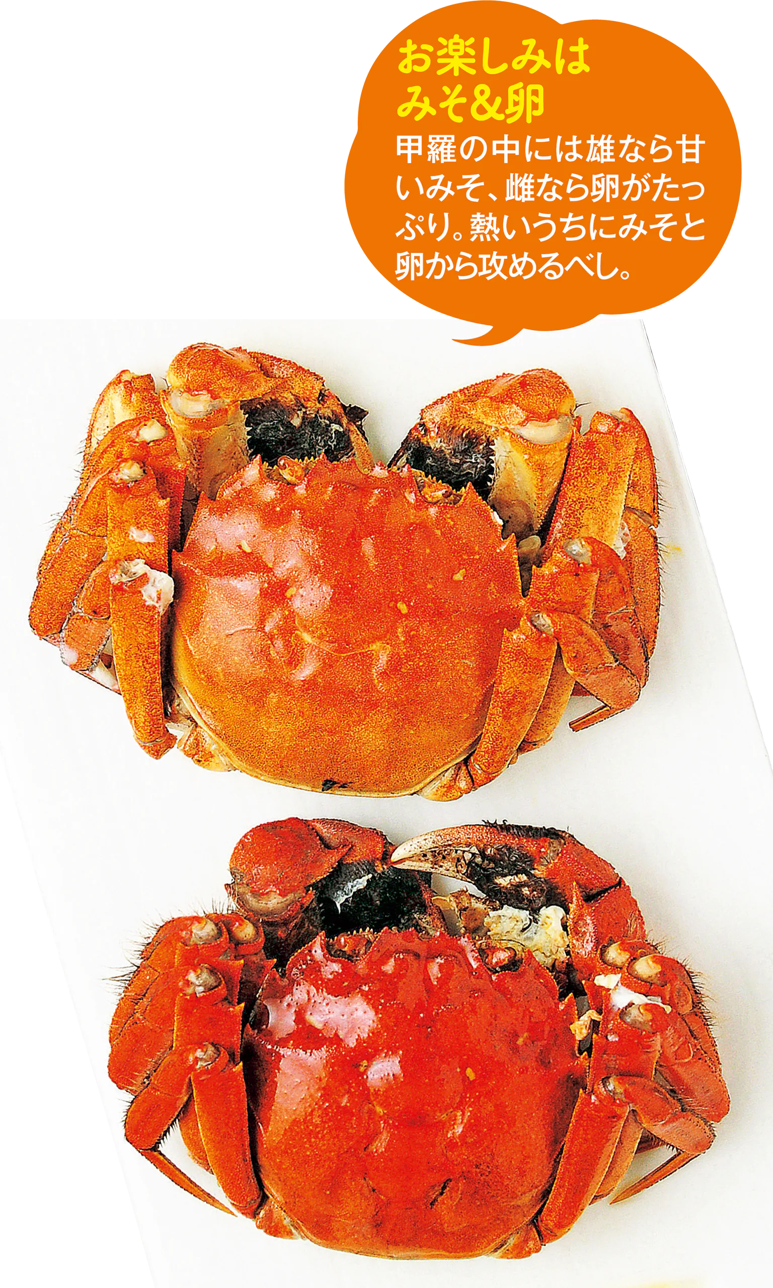 清蒸大閘蟹の画像