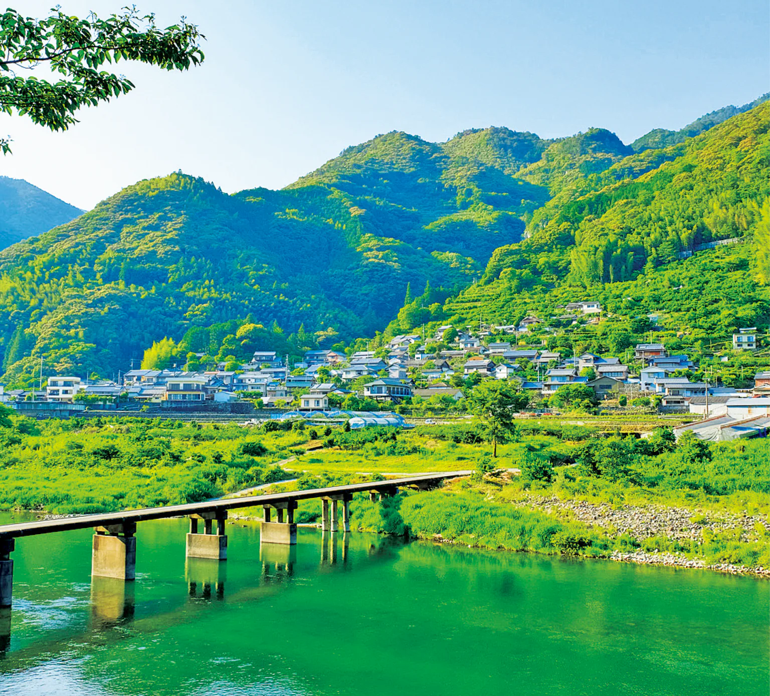 仁淀川で浅尾沈下橋を眺めるの画像