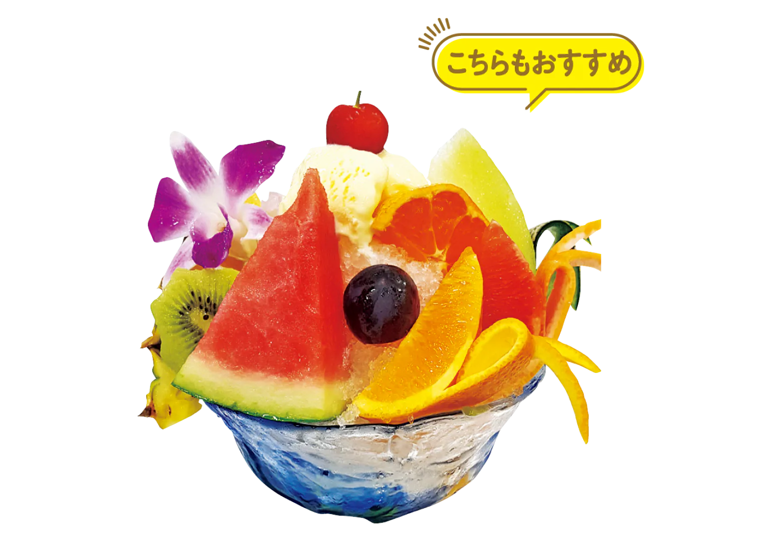 白熊の紹介画像