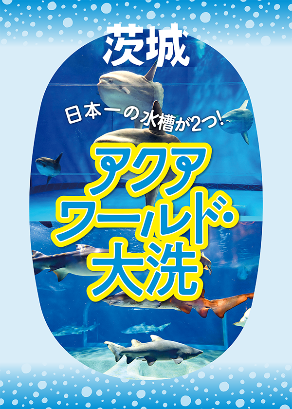 茨城・アクアワールド大洗】サメやマンボウの日本一の水槽をご紹介