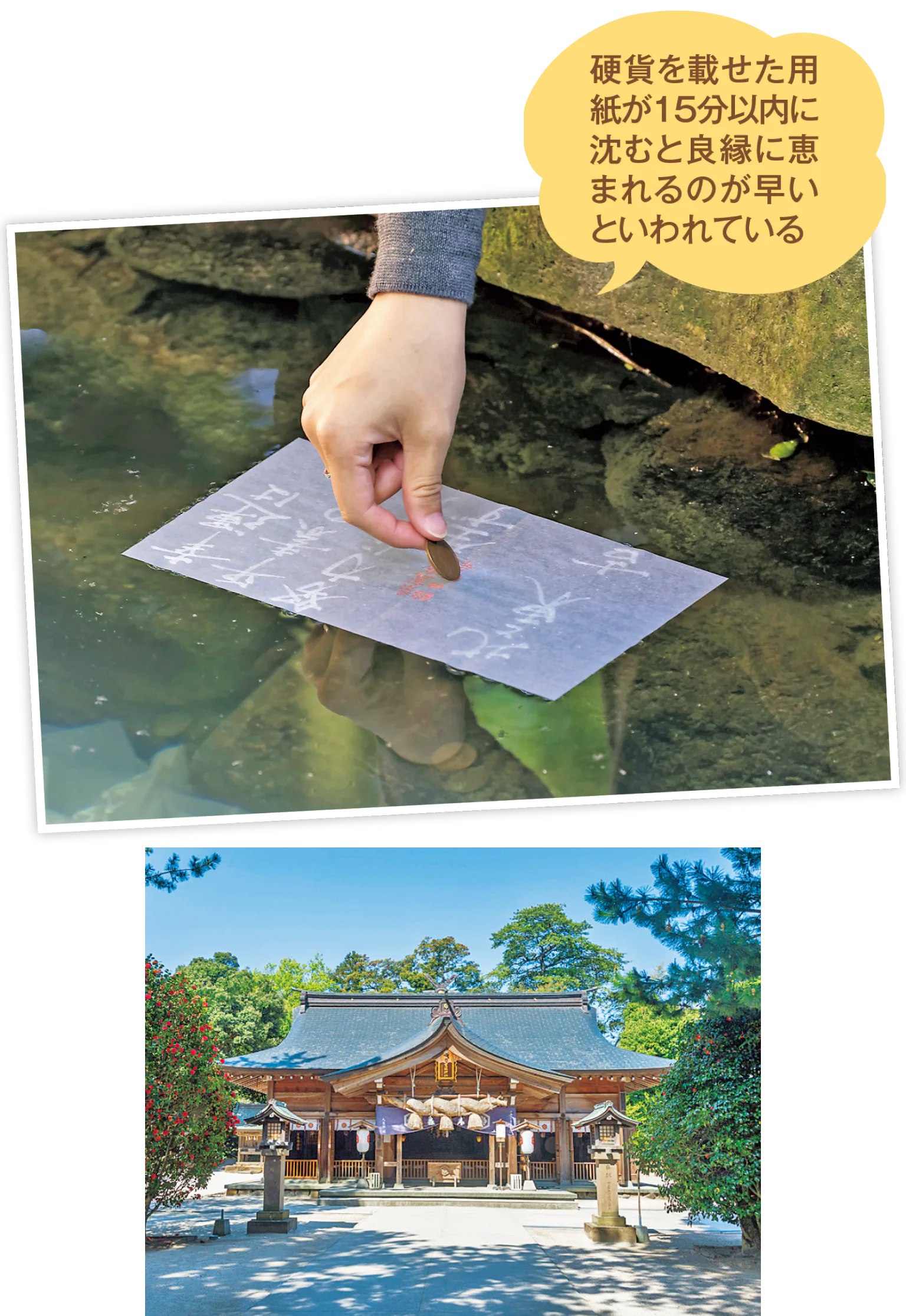 八重垣（やえがき）神社で縁占いの画像