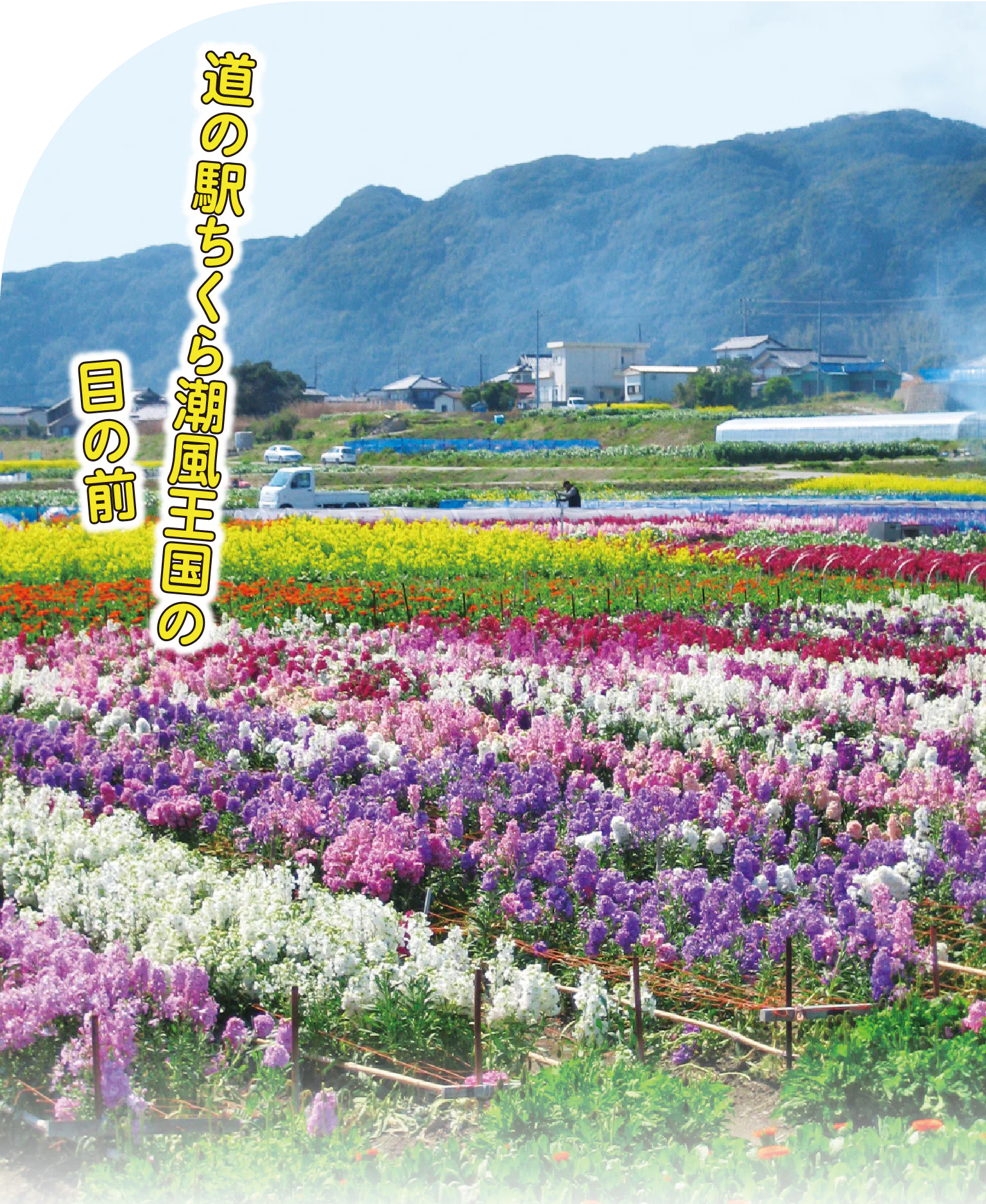のどかな田園風景のなかにある
