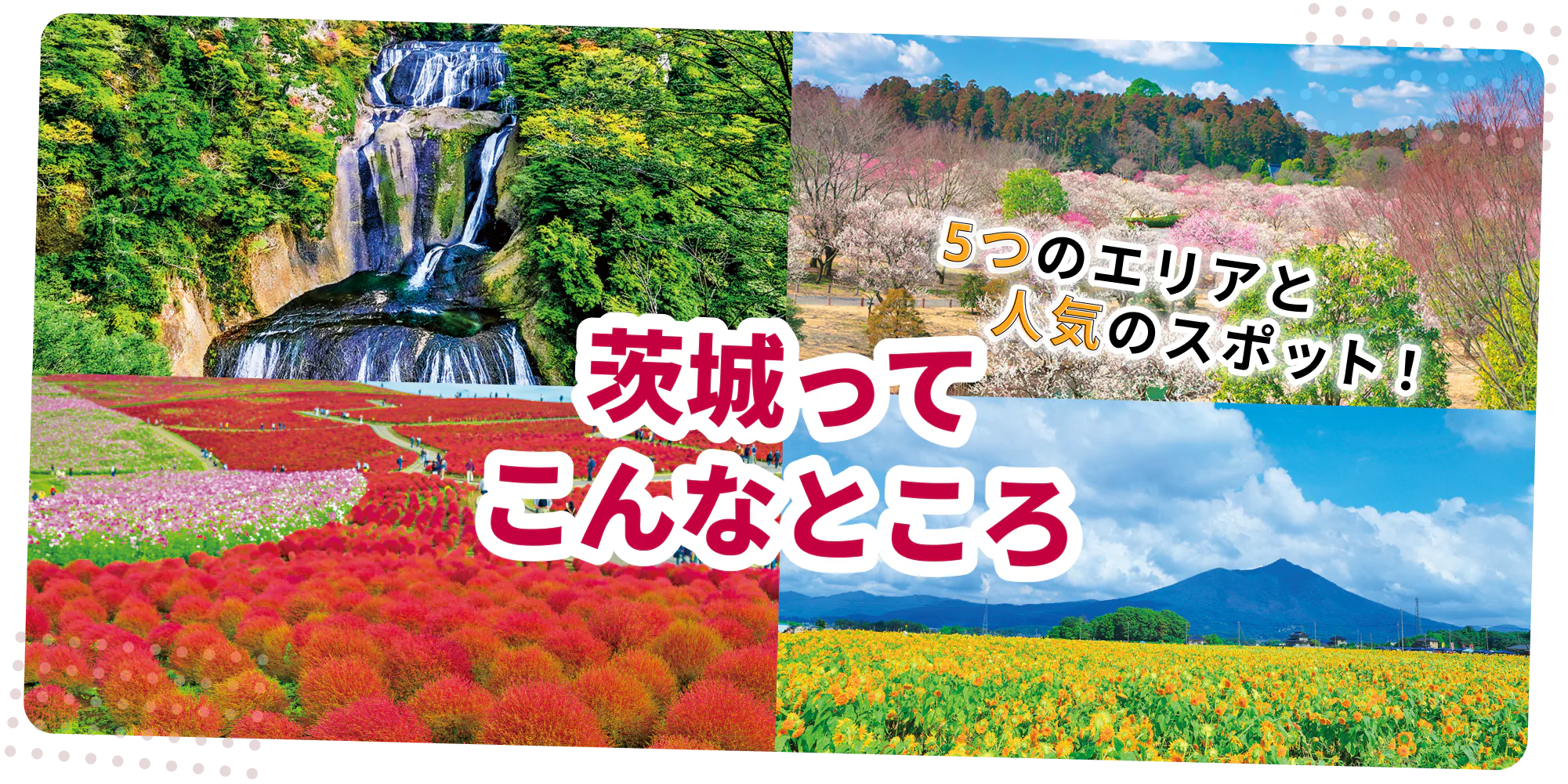 5つのエリアと人気のスポット！