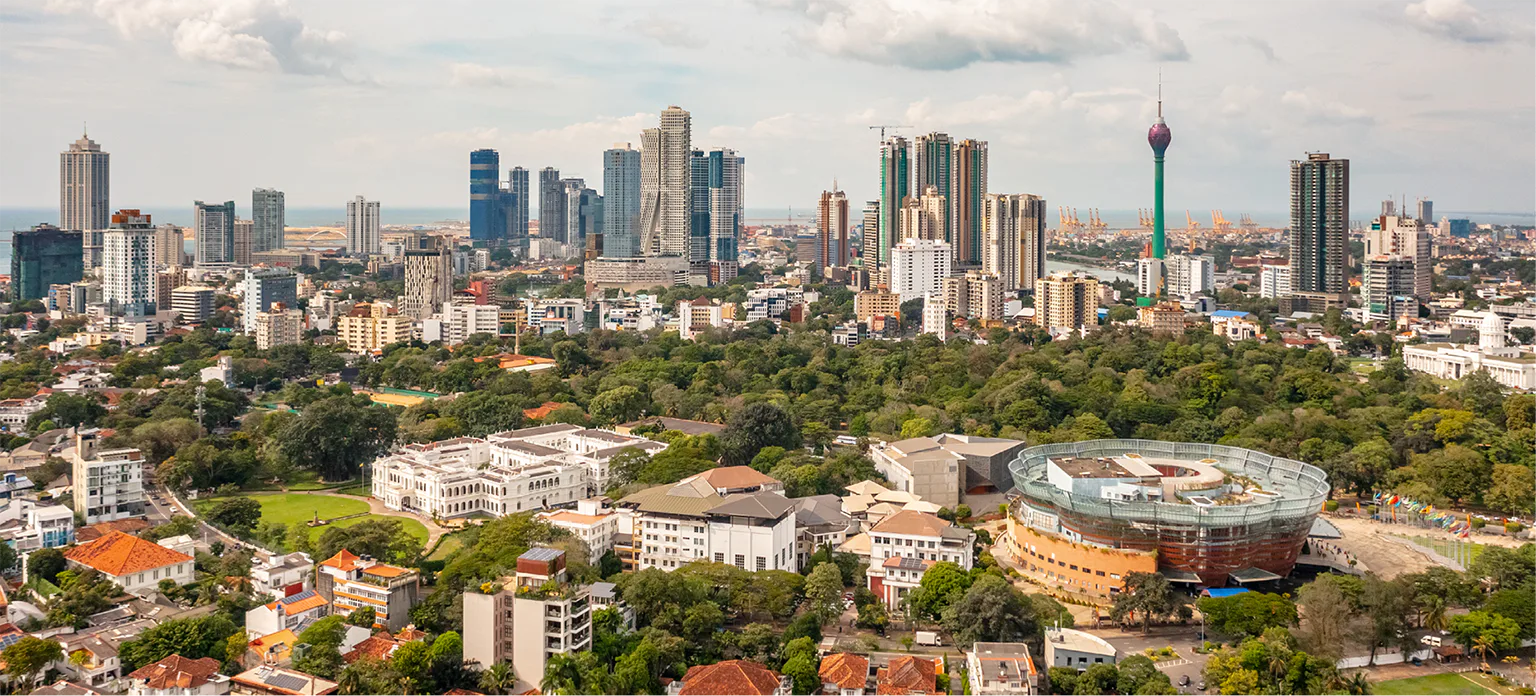 コロンボの画像