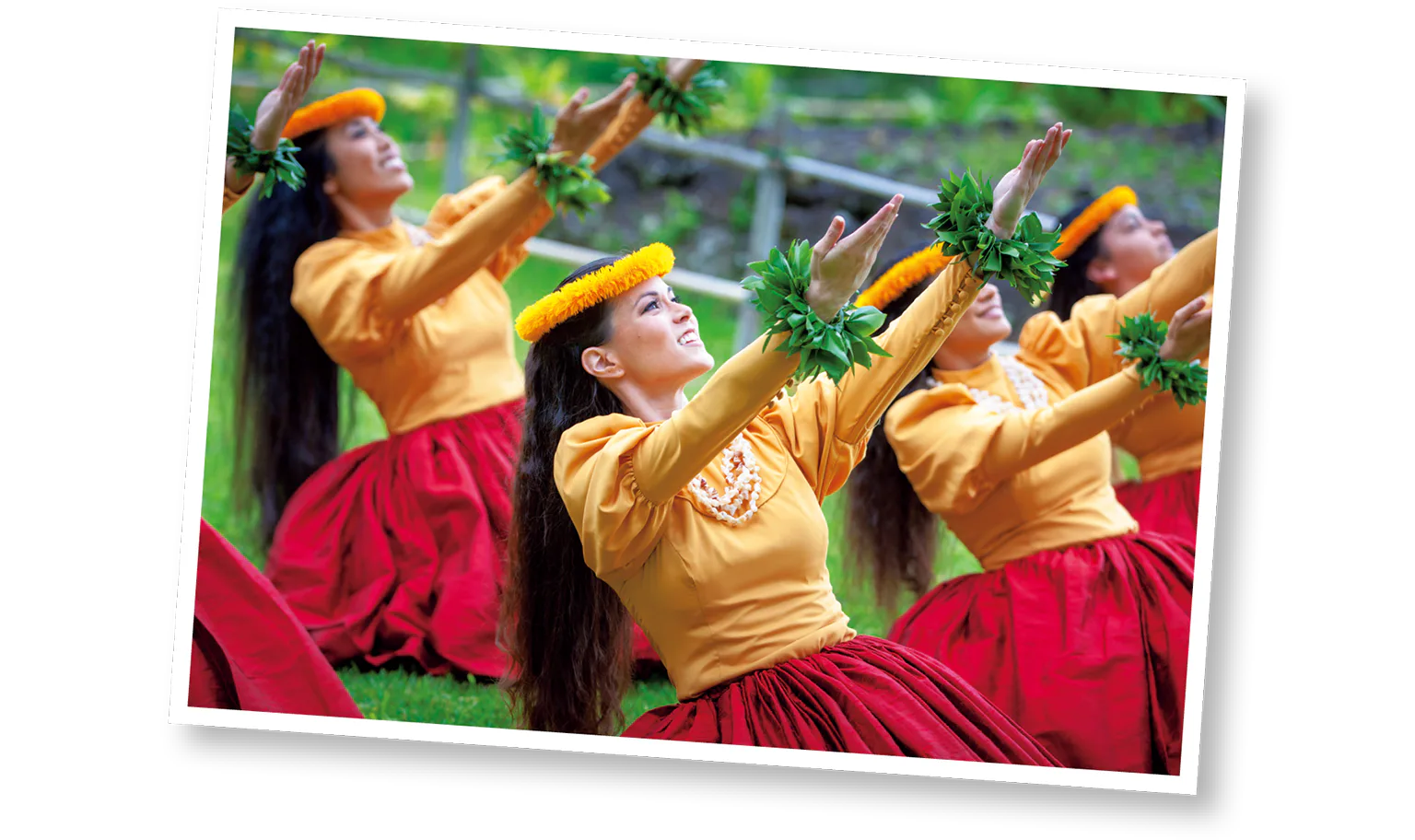 フラ・カヒコの画像