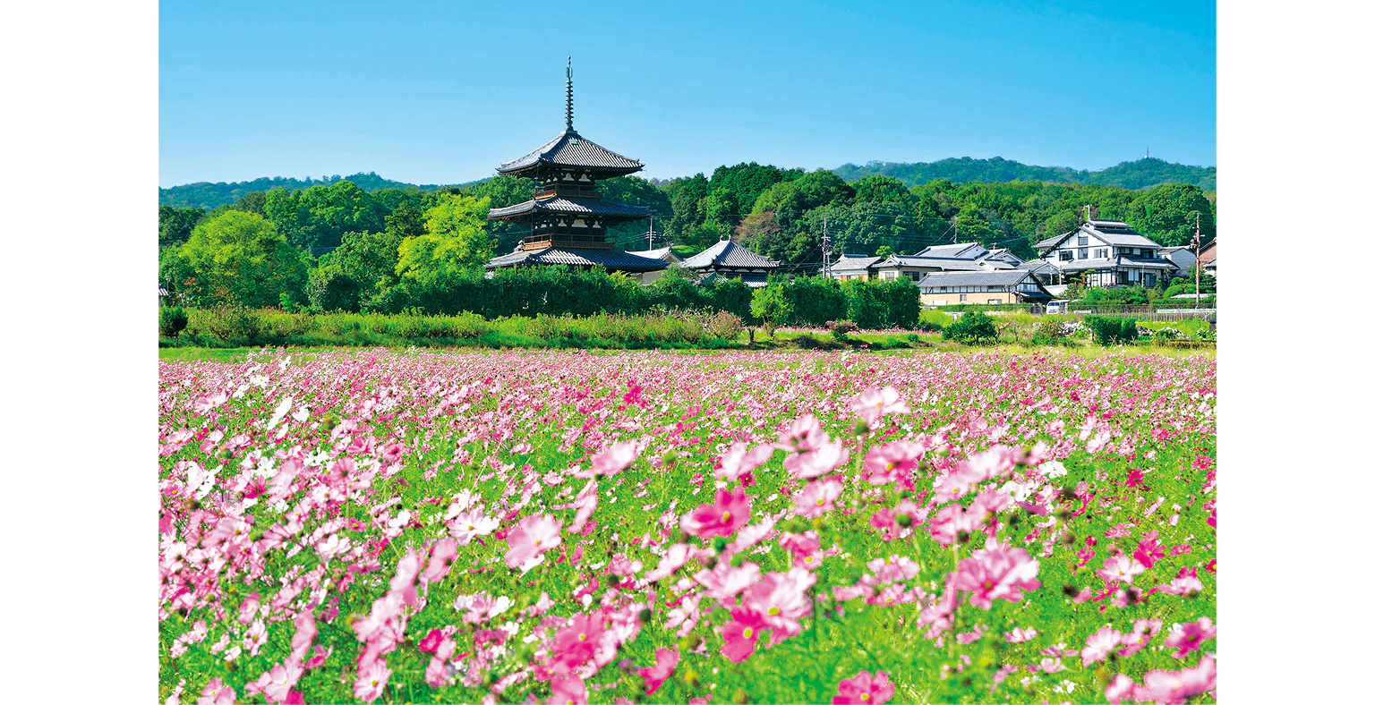 法起寺の周辺の画像