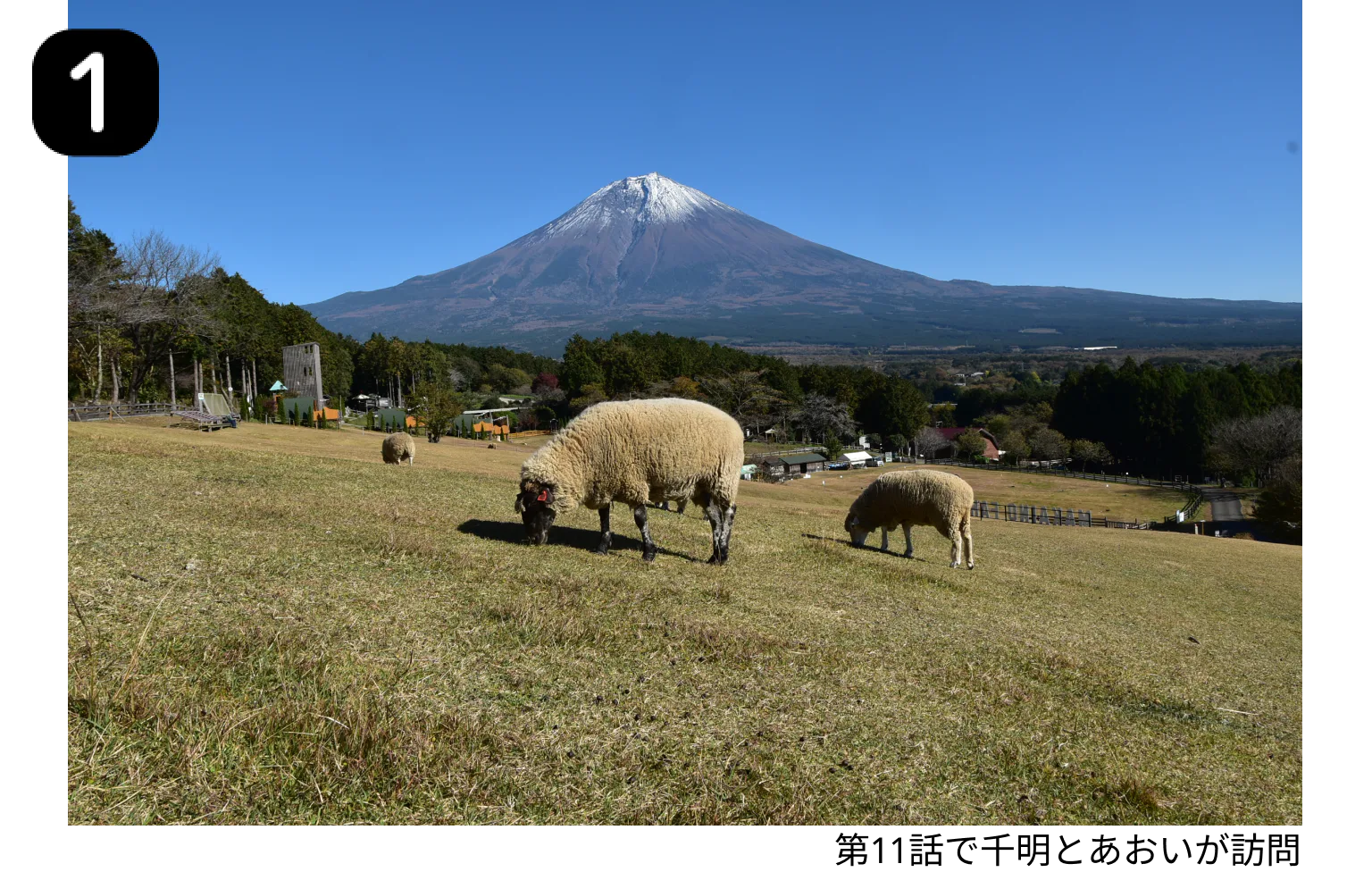 まかいの牧場の画像
