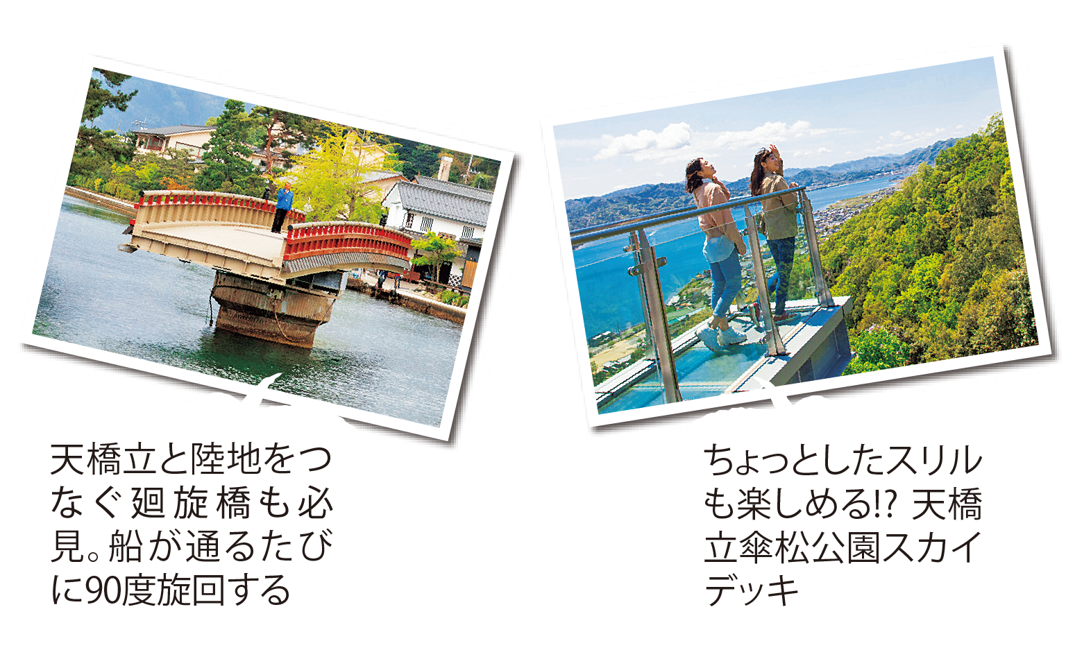 天橋立を楽しむためのお出かけガイド】日本三景・天橋立の魅力、外せ