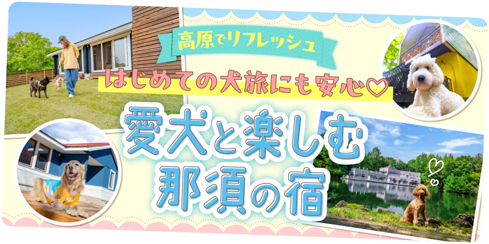 【栃木】ペットと泊まれる那須の宿|全室ペット可、宿選びのコツ、アメニティ&設備、マナー・ルールまでまとめてガイド