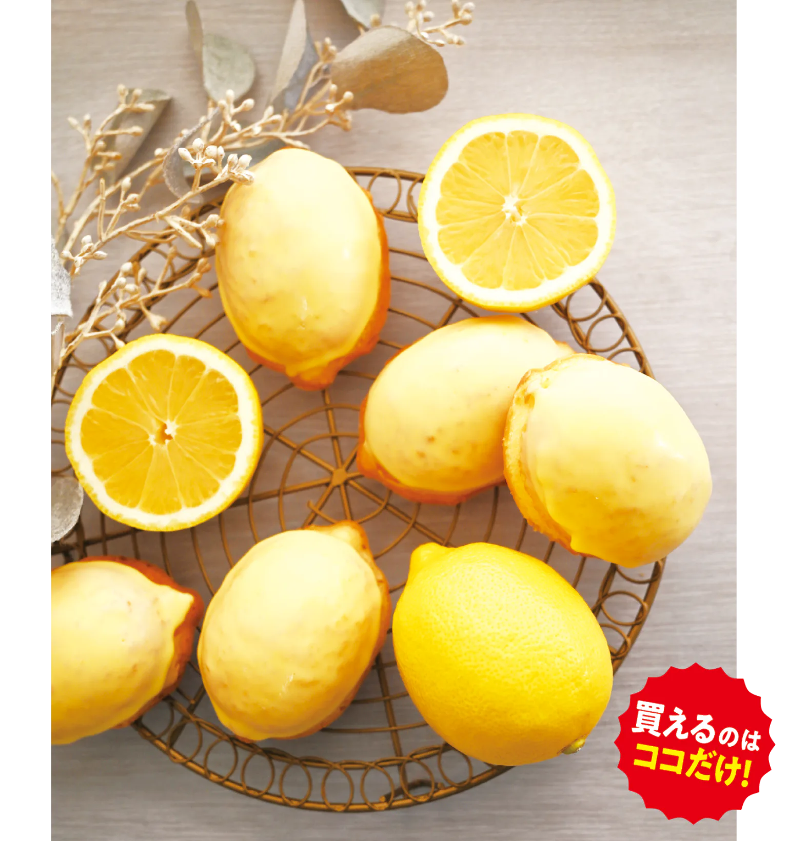 HAKKOレモンケーキの紹介画像