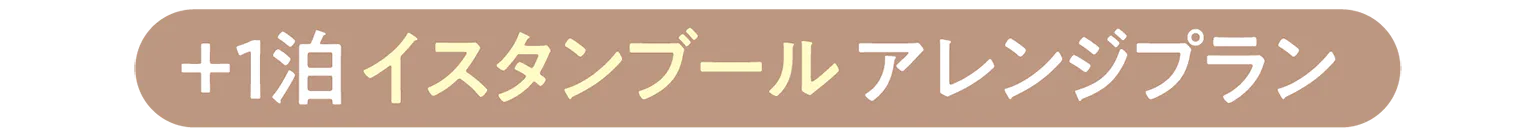 +1泊 イスタンブールアレンジプランの見出し