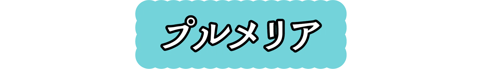 プルメリアの見出し