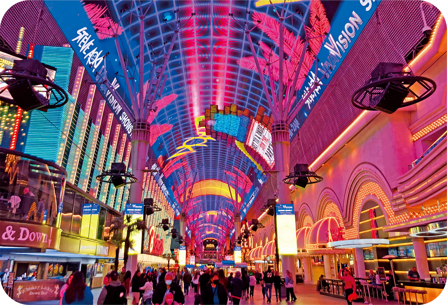 電飾ショーの画像