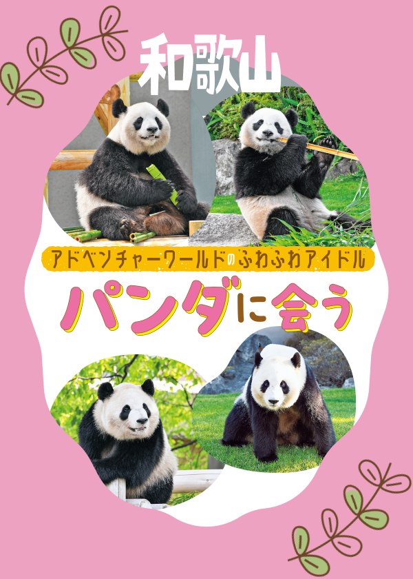 和歌山アドベンチャーワールドのパンダに会う
