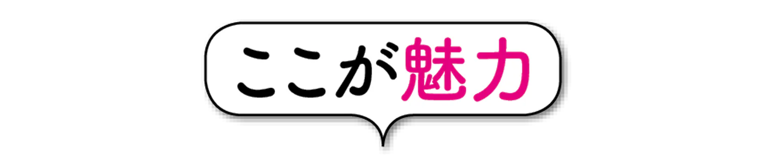 ここが魅力の見出し