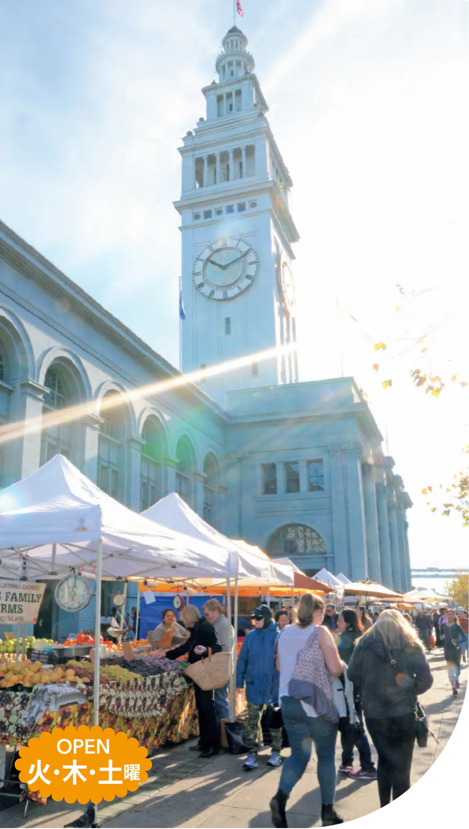 ファーマーズマーケットの画像