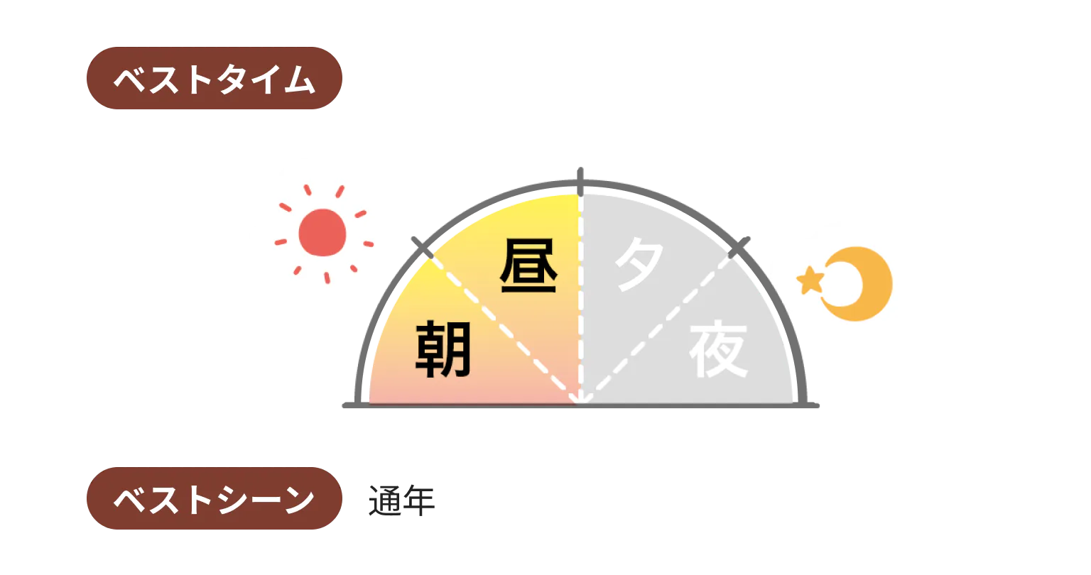 ベストタイムとベストシーン