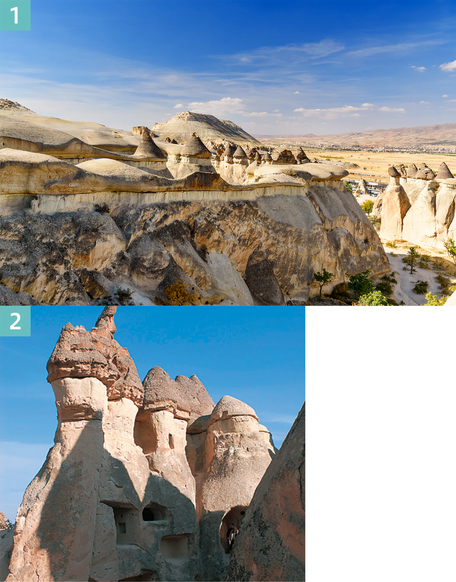 パシャバーの画像