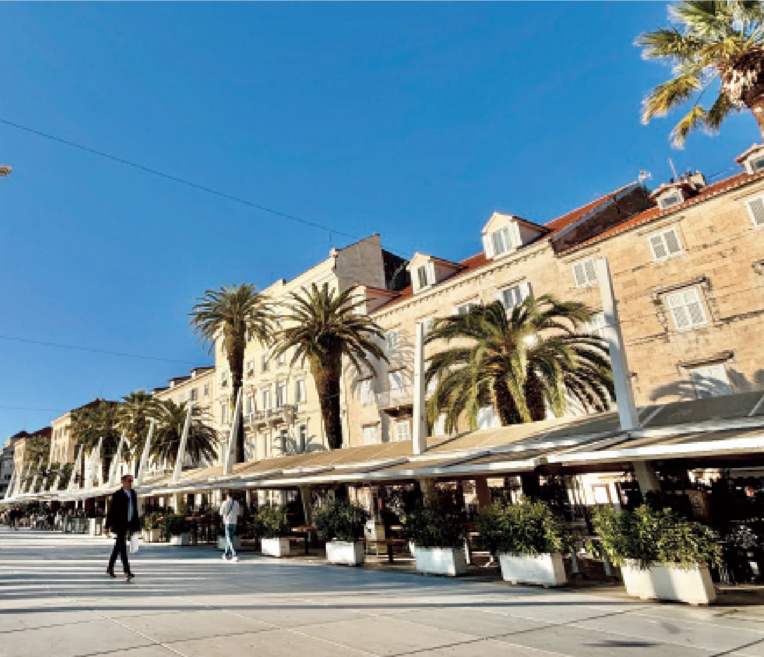 プロムナードの画像