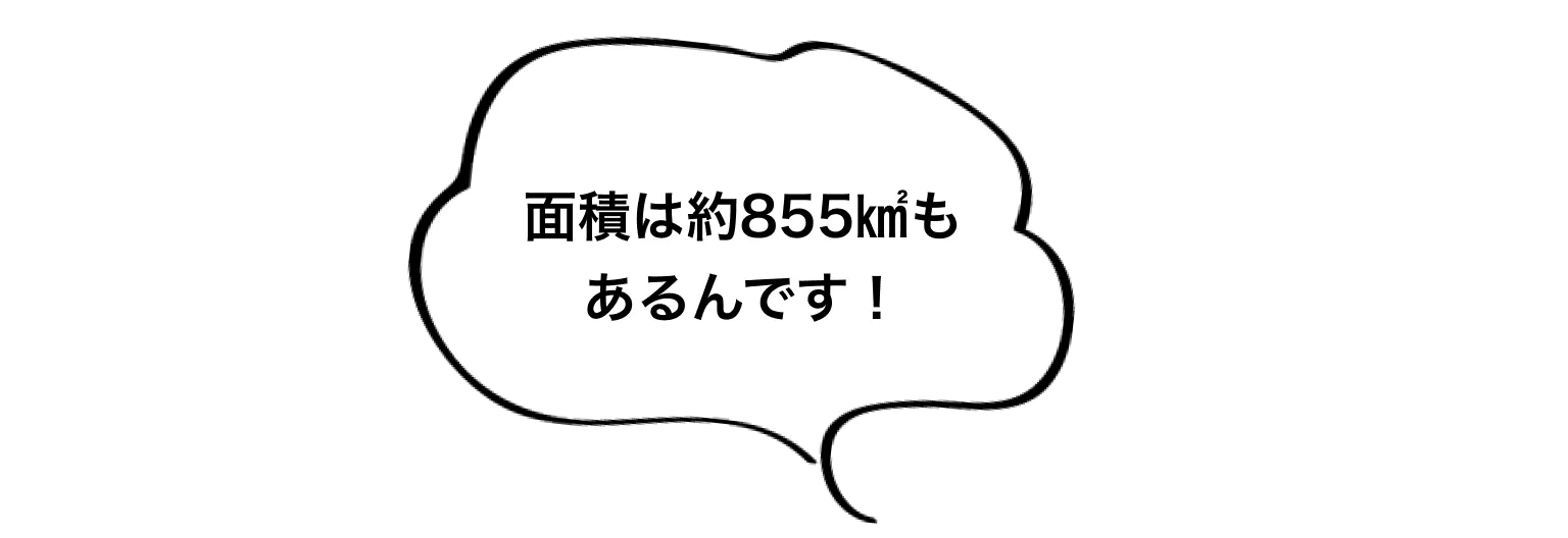 面積は約855㎢もあるんです！