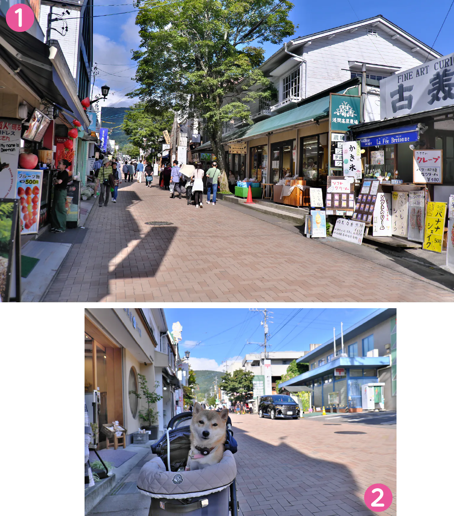 旧軽井沢銀座通りの紹介画像