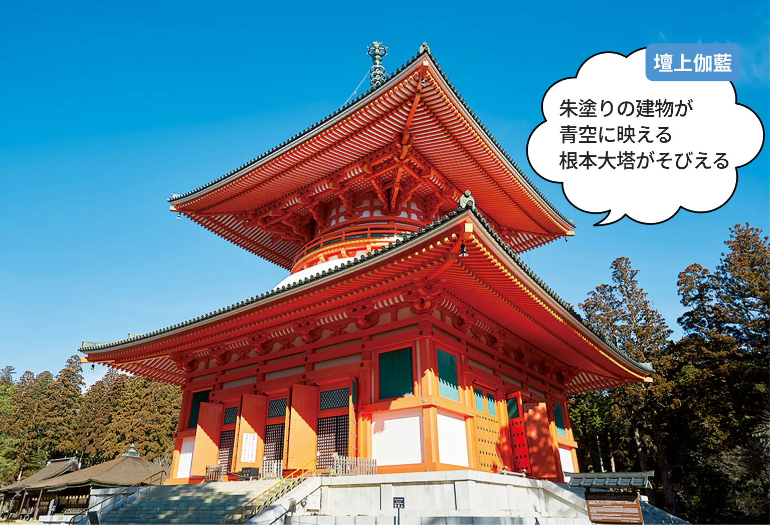 壇上伽藍：朱塗りの建物が 青空に映える 根本大塔がそびえる