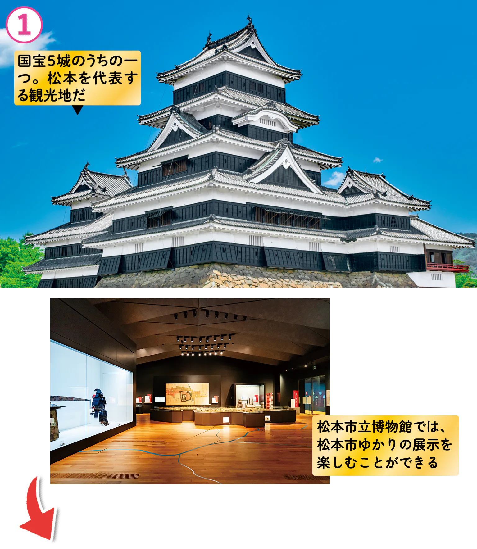 国宝松本城を見学の画像