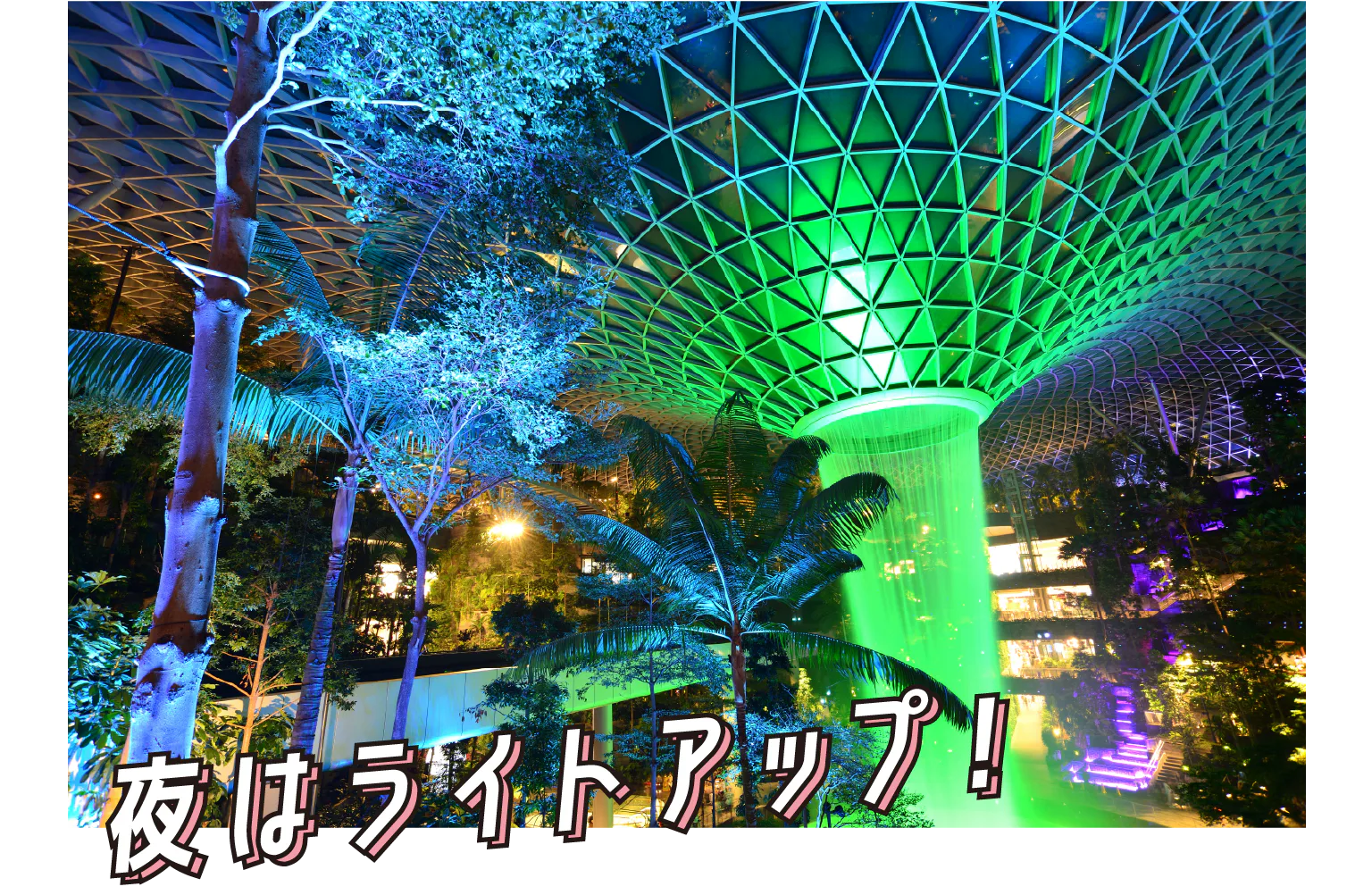 ジュエル・レイン・ボルテックスの夜のライトアップ画像