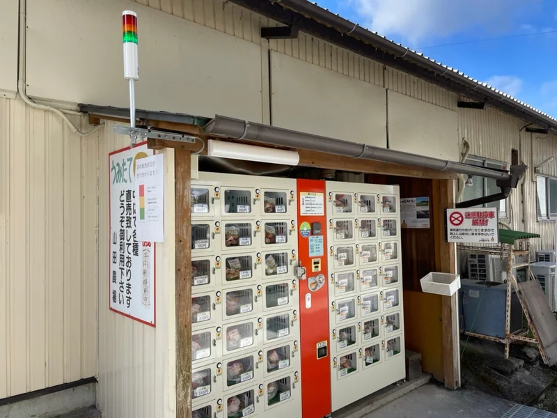 記事の画像