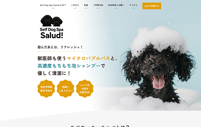 Self Dog Spa Salud!
