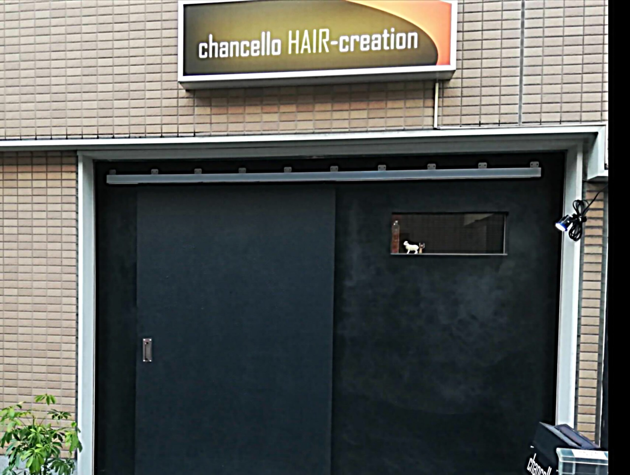 chancello Hair-creation