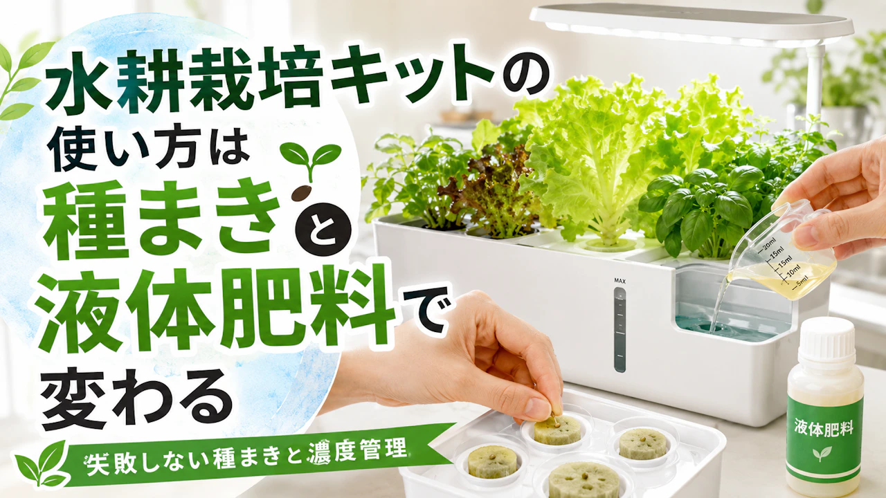 水耕栽培キットの使い方は種まきと液体肥料で変わる