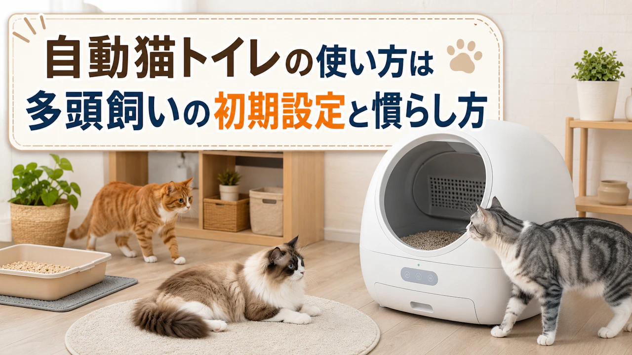 自動猫トイレの使い方は多頭飼いの初期設定と慣らし方