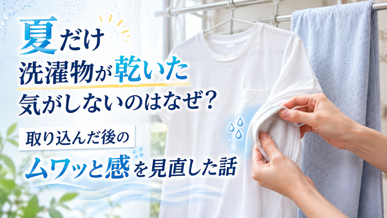 夏だけ洗濯物が乾いた気がしないのはなぜ?取り込んだ後のムワッと感を見直した話