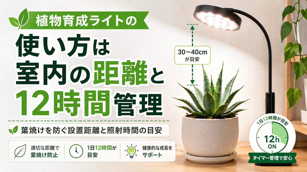 植物育成ライトの使い方は室内の距離と12時間管理
