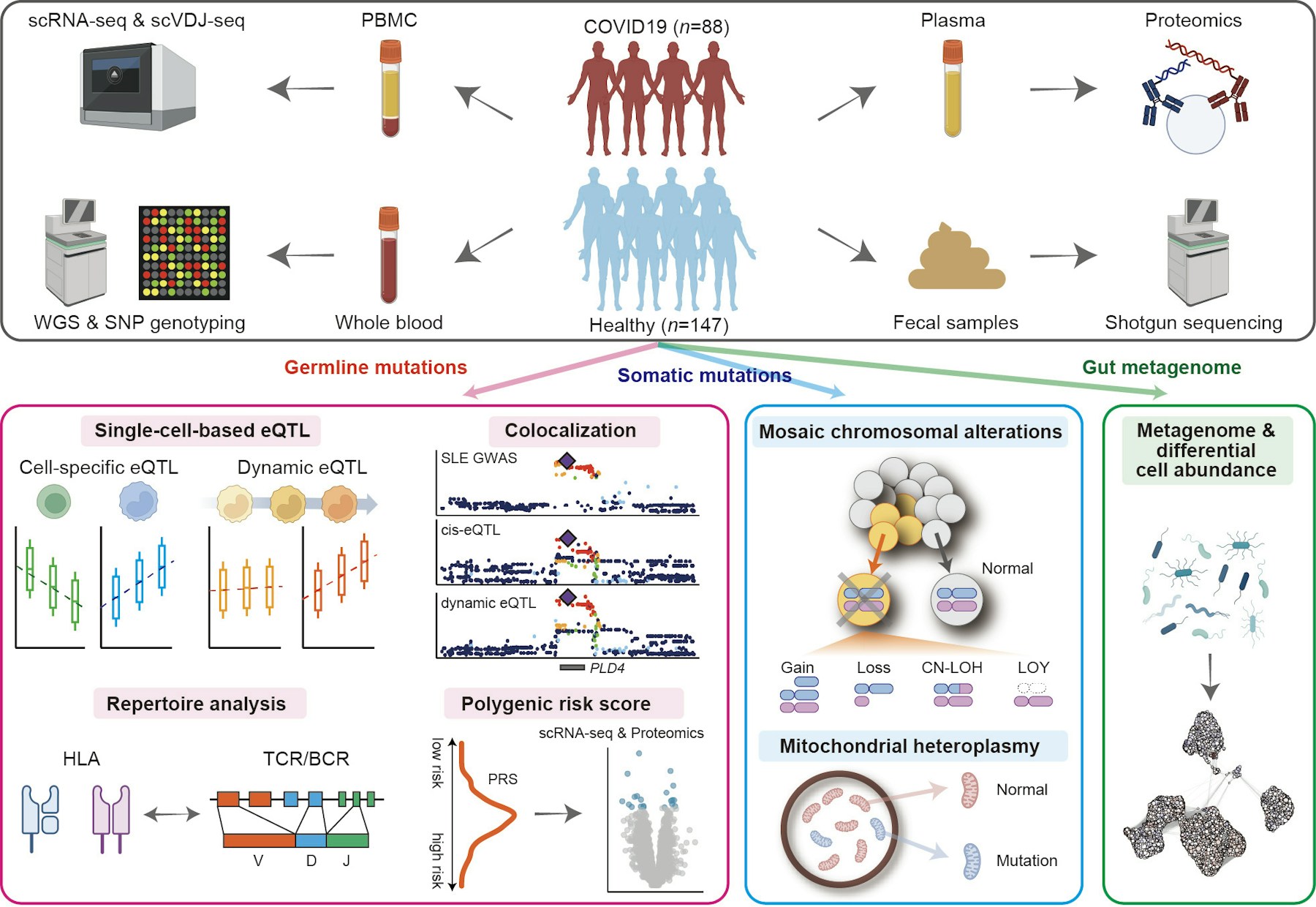 Laboratory for Systems Genetics figure