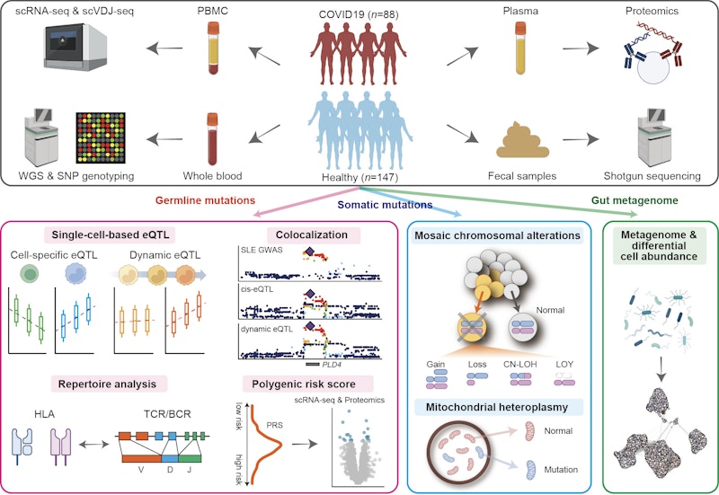 Laboratory for Systems Genetics figure
